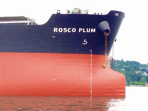 The bulbous bow - funny looking but functional : The Ship Report