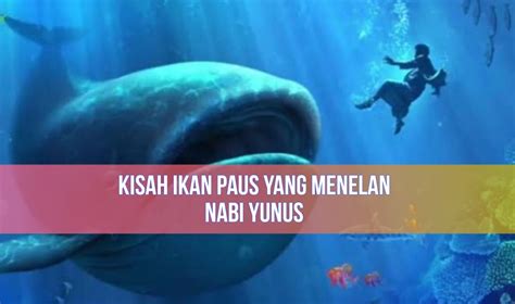 Jadi Hewan yang Dijanjikan Masuk Surga, Beginilah Kisah Nun, Ikan Paus ...