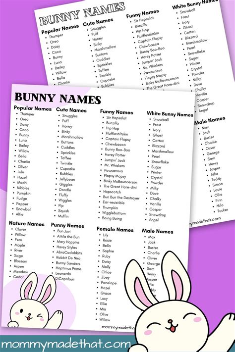 Bunny Names (The Best Rabbit Names Ever!)