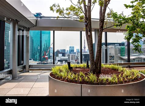 Ginza six garden roof hi-res stock photography and images - Alamy