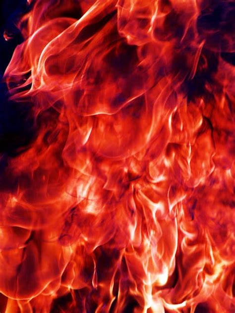 Free stock photo of fire, flame, heat