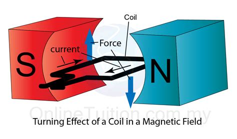 Newton's 3rd Law Coil in Magnetic Field ~ Physics ~ TransWikia.com