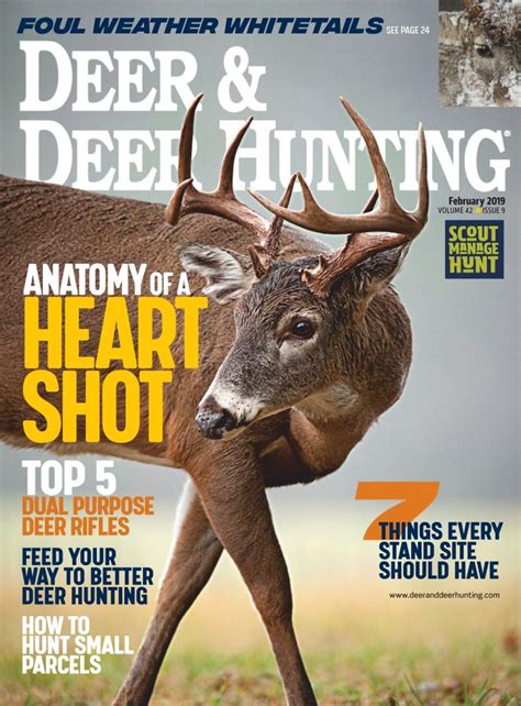 Deer & Deer Hunting Magazine | Whitetail Deer Hunting Tips ...