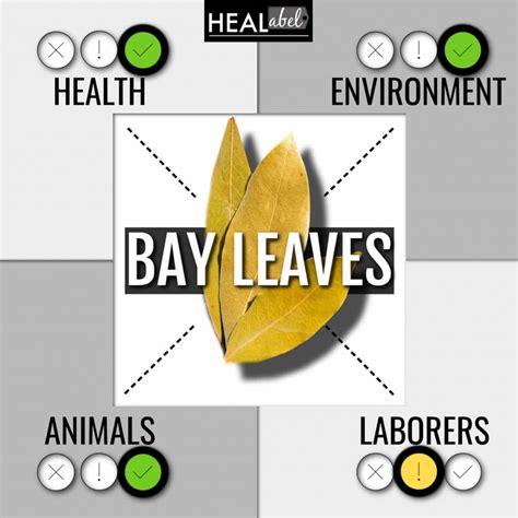 Top Bay Leaf Benefits + Side Effects