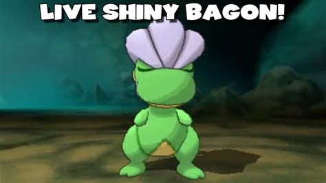 LIVE SHINY BAGON AFTER 26 HORDE ENCOUNTERS - Pokemon Omega Ruby/Alpha ...