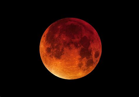 'Beaver blood moon' offers world's last total lunar eclipse until 2025