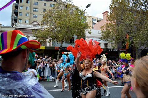 Travelling Budgie: Sydney - Mardi Gras!