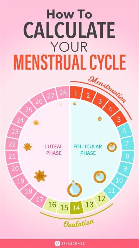 what causes your period cycle to shorten life