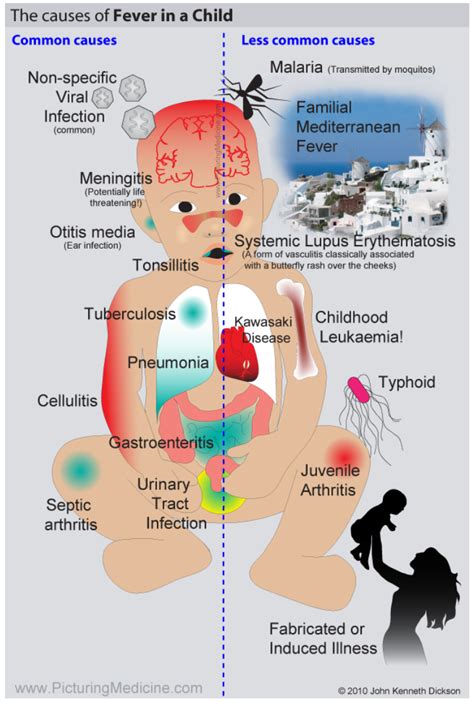 Child Health & Nutrition