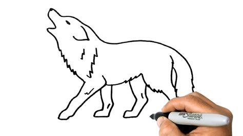 How to DRAW a WOLF Easy Step by Step - YouTube