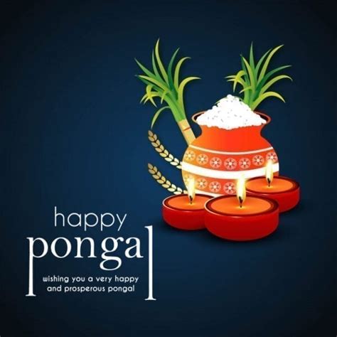 Happy Pongal 2021 Wishes, Quotes, Status And Messages With Images ...