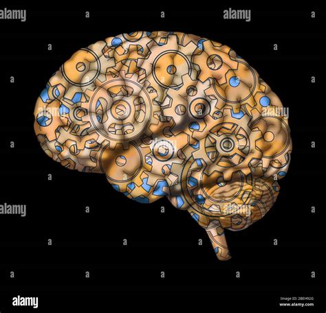 Gears in Brain, Conceptual Illustration Stock Photo - Alamy