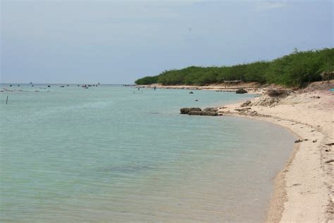 Rameshwaram Beach: Popular Beach In Tamilnadu | Holiday Landmark