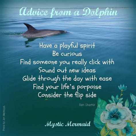 Advice From A Dolphin Pictures, Photos, and Images for Facebook, Tumblr ...