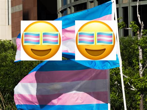 A transgender Pride flag emoji exists—here's how to get it | PinkNews