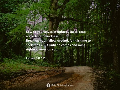 Hosea 10:12 | Daily Bible Inspirations