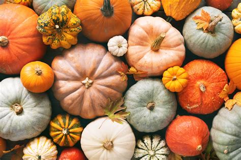 Different Pumpkin Types and How to Use Them | Fine Dining Lovers