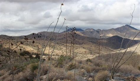 Cochise, the Bascom Affair, and the Start of the Apache Wars — History ...