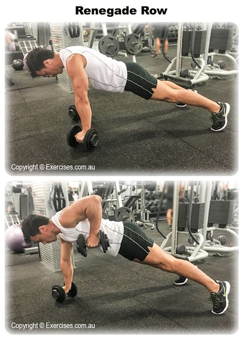 Renegade Row | exercises.com.au