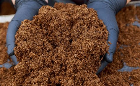 What is peat and is it bad for the environment? – The Forge Skip Hire ...