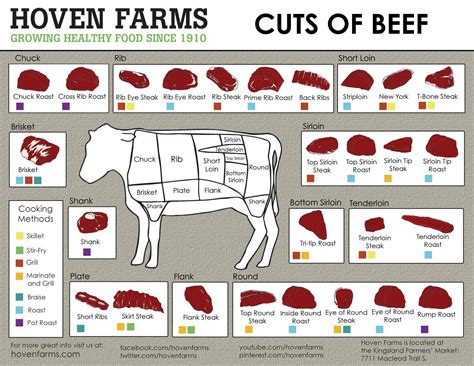 Hoven Farms Cuts of Beef Chart 18"x28" (45cm/70cm) Poster