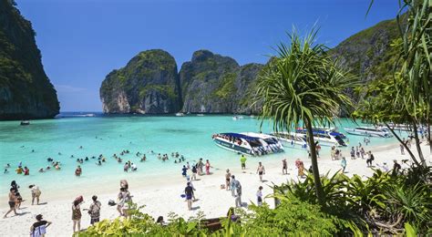 What is Phi Phi Islands Famous For | Phuket Thailand