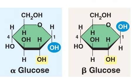 Difference in structure of alpha and beta glucose - Chemistry ...