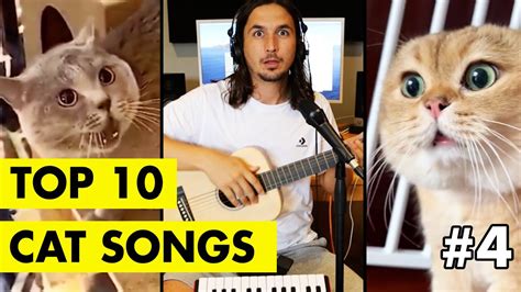 Top 10 Cat Songs by The Kiffness - YouTube