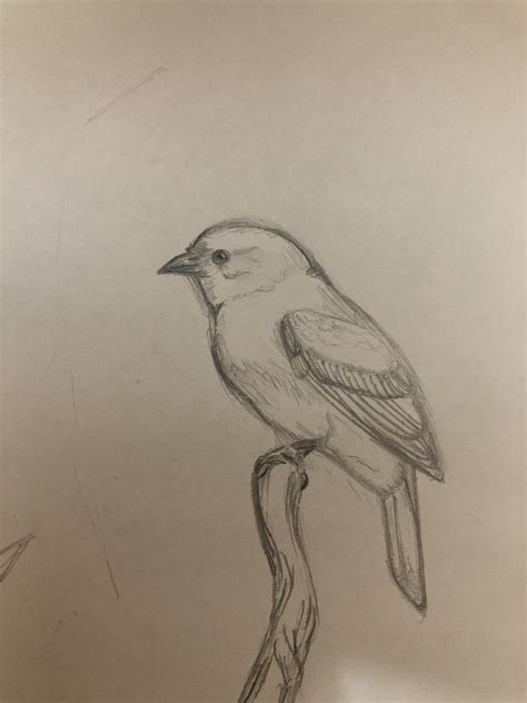 perched bird | Bird sketch, Bird drawings, Small drawings