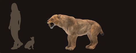 Megafauna 3D » Smilodon