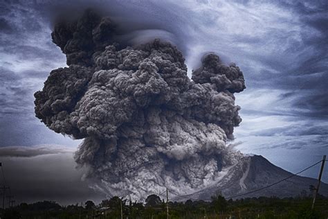 What is the most dangerous natural disaster? | Sherdog Forums | UFC ...