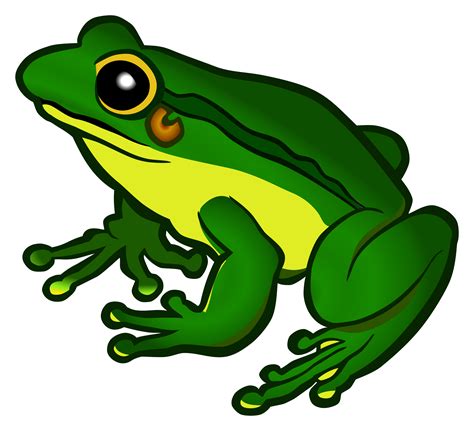 Clipart - frog - coloured