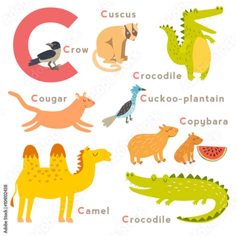 C letter animals set. English alphabet. Vector illustration, isolated ...