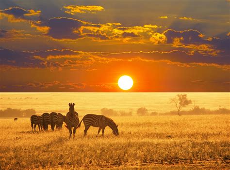 Etosha National Park in Namibia - Earth.com etosha-nationalparkinnamibia