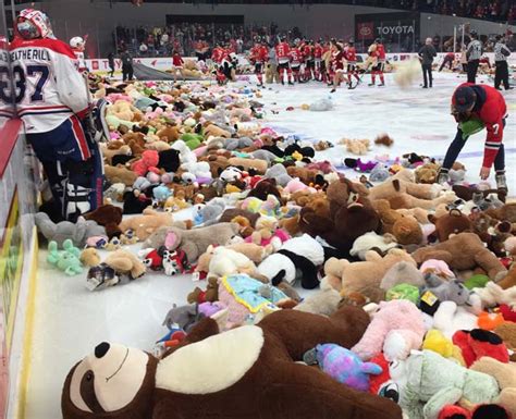 Hockey Fans Toss 11,000 Teddy Bears for Charity - Les Schwab