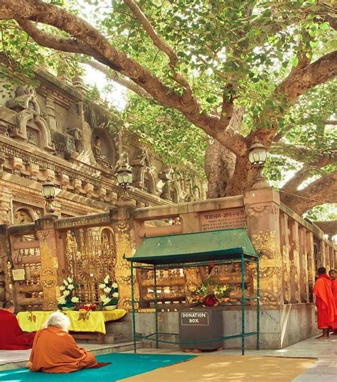 Visit Bodhgaya | Bodh gaya, Sri maha bodhi, India tour