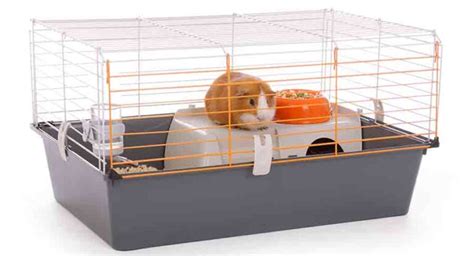 Guinea Pig Cage Size Guide - The Best Indoor Guinea Pig Cages