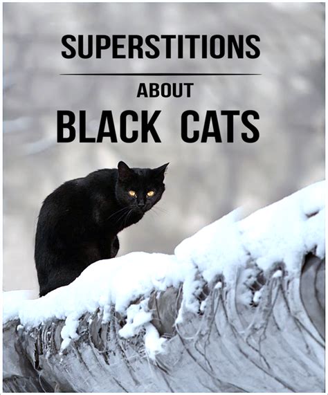 20 Superstitions About Black Cats - HubPages