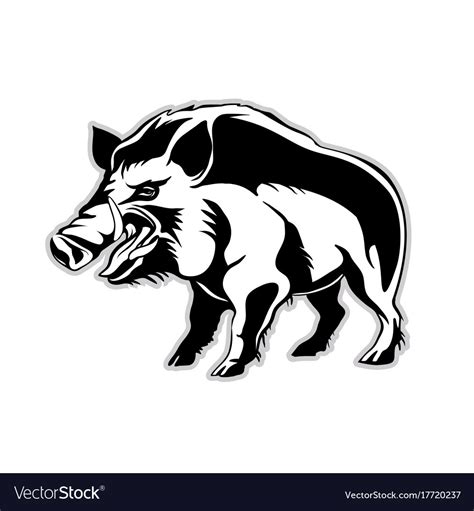 wild boar face clipart 10 free Cliparts | Download images on Clipground ...