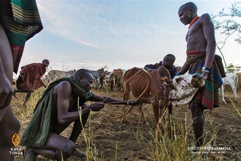 Karamoja Travel Guide to Northeast Uganda - Kara-Tunga, Karamoja Arts ...