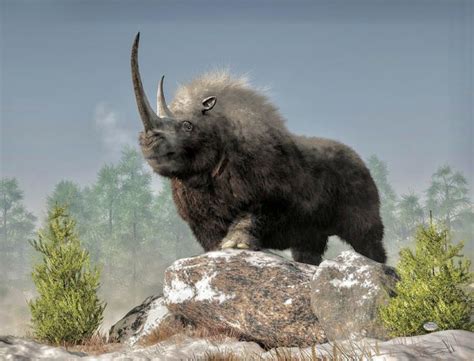 “Ice Age Tough” – Extinct woolly rhinoceros. Digital art by Daniel ...