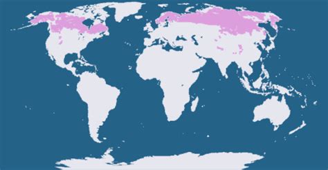 climas del mundo on emaze