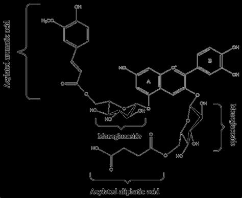 Anthocyanidin Structure