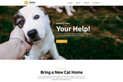 Free Template for Pet Adoption Website - MotoCMS