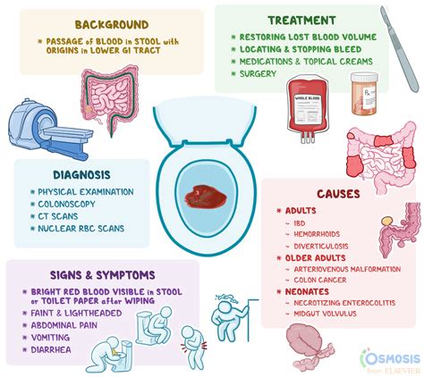 Human Bloody Diarrhea