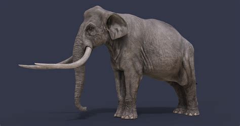 3D Palaeoloxodon Antiquus Model - TurboSquid 1723448