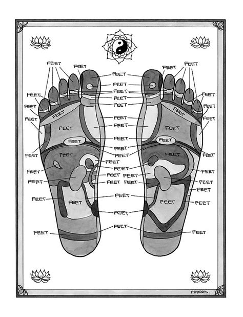 [DIAGRAM] Parts Of Foot Diagram - MYDIAGRAM.ONLINE