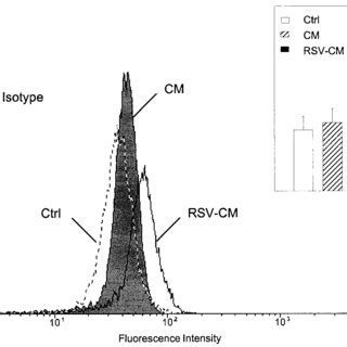 Enhancement of CD11b expression on eosinophils by supernatant from ...