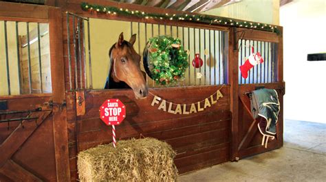 Horse Decoration Ideas to Deck the Stalls - Pet Central by Chewy