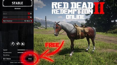 How To Get The Arabian Horse FREE|RDR2 Online - YouTube